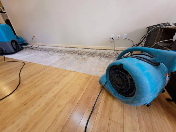 Reliable Basement Flood Cleanup contractor in Sherman, MS by Hirex Water Damage