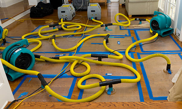 Professional Basement Flood Cleanup technician working in Sherman, MS